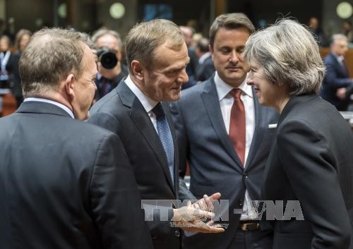 British PM urges 'smooth and orderly' Brexit - ảnh 1